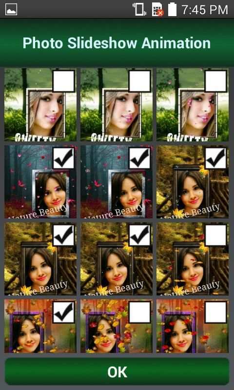 Photo Slide Show Animation скриншот 6