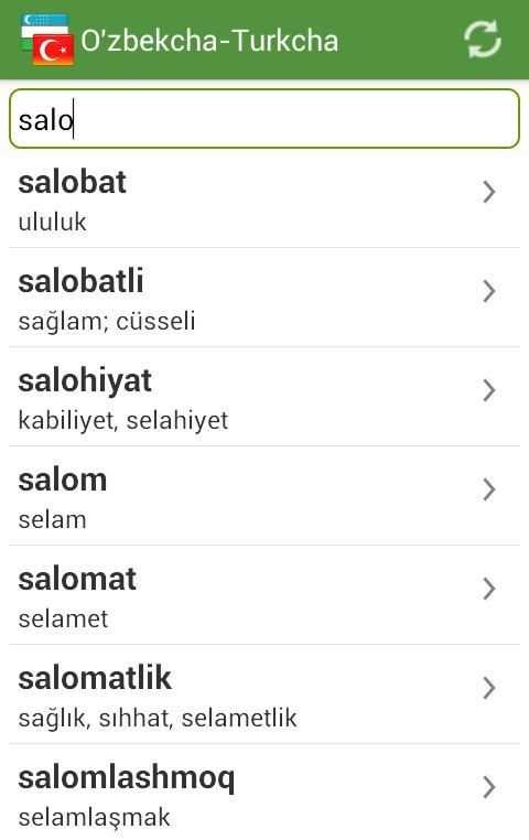 O'zbekcha Turkcha Lug'at screenshot 5
