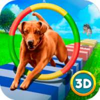 Pet Dog Training Paw Run