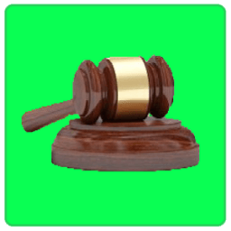 Basic Law Terms أيقونة