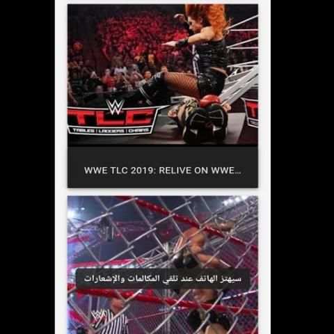 WWE screenshot 3