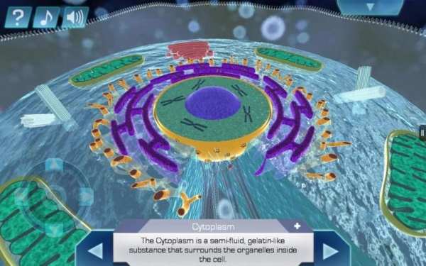 Cell World स्क्रीनशॉट 6