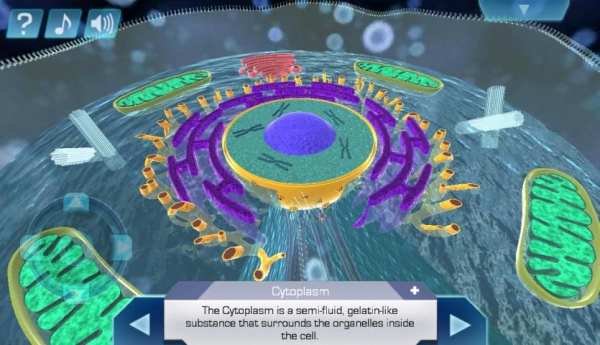 Cell World स्क्रीनशॉट 1