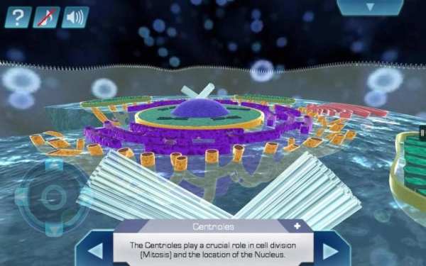 Cell World स्क्रीनशॉट 5