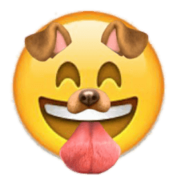 ikon Efeitos Do Snapchat Grátis