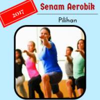 Aerobics Workout Video Pilihan