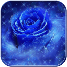 Blue Rose Love Romance Theme أيقونة