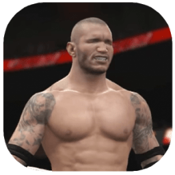 Wrestling Power for WWE أيقونة