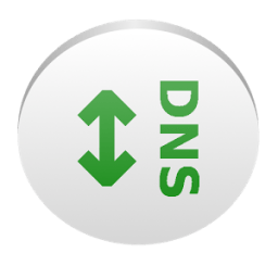 DNS switch आइकन