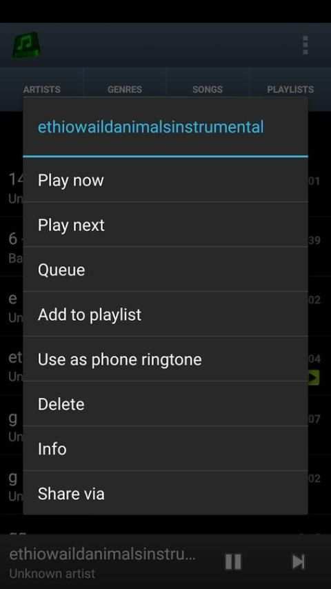 MP3 Player Pro screenshot 3