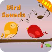 Bird Sounds