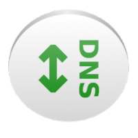 DNS switch