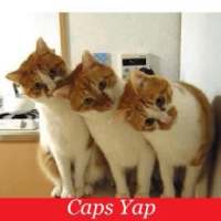 Caps Yap