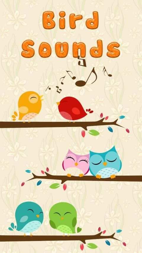 Bird Sounds скриншот 8