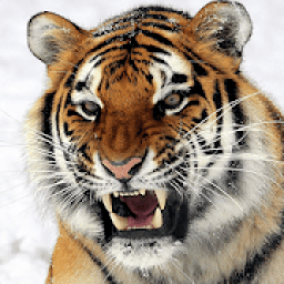 Животные для детей. Звуки животных. icon