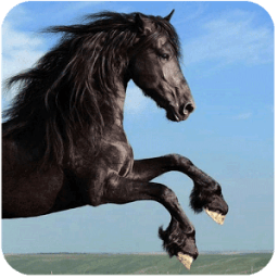 Horse Racing Tips Australia иконка