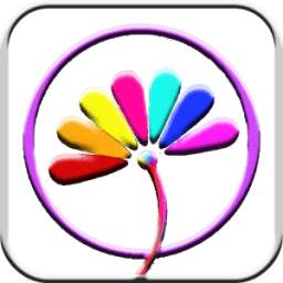 iLive Pix - Spice Up Your Screen. 1.1