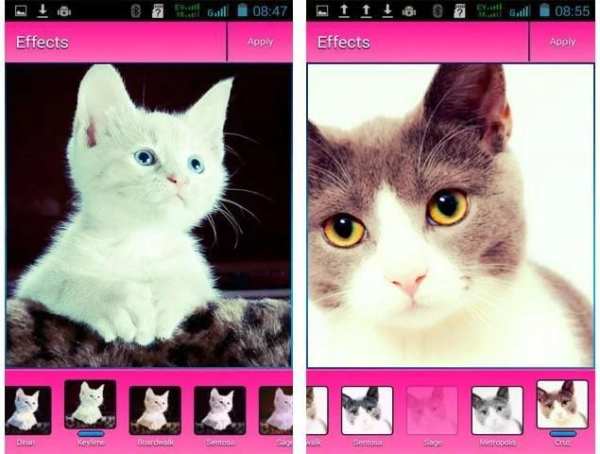 Kawaii Camera DSL screenshot 4