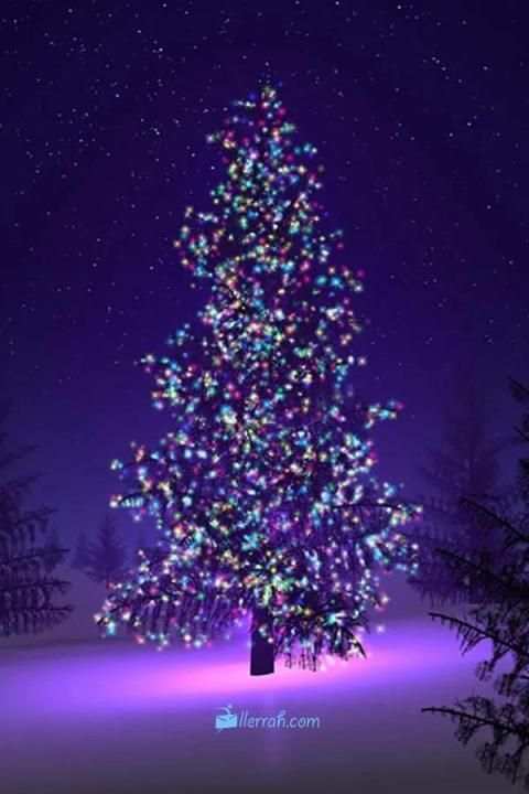 Christmas Wallpaper! screenshot 3