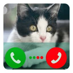 Fake Call Cat Angela иконка