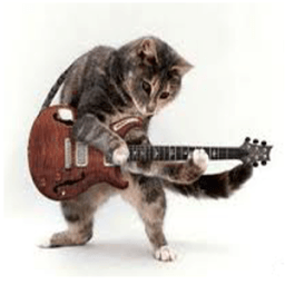 ikon اصوات الحيوانات.