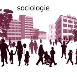 La sociologie icon