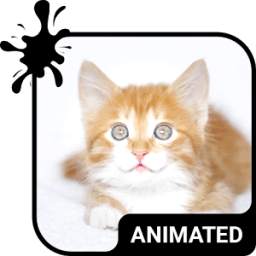 Kitty Cat Animated Keyboard