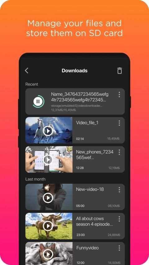 Video Downloader screenshot 7