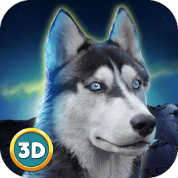 Husky Dog Simulator 3D icon