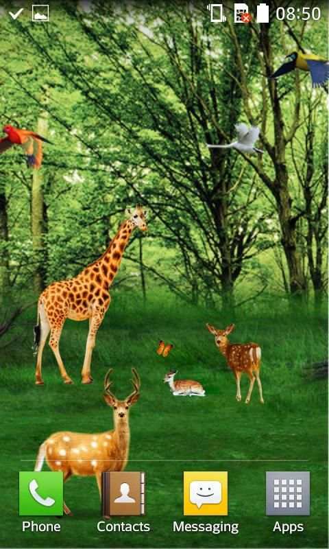 Forest HD Live Wallpaper स्क्रीनशॉट 8
