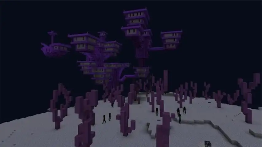 Descarga De La Aplicacion End City Map For Mcpe 21 Gratis 9apps