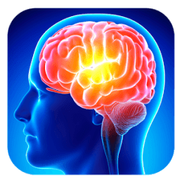 Memory Improvement Tips आइकन