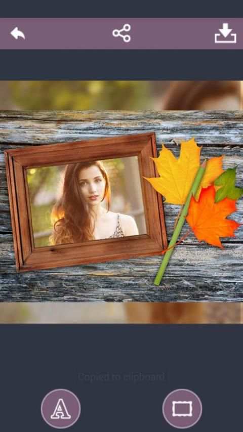 PIP Camera Frames स्क्रीनशॉट 11