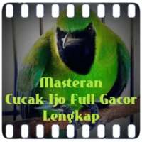 Masteran Cucak Ijo Full Gacor on 9Apps