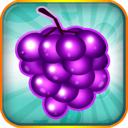 Fruit Blitz Free أيقونة