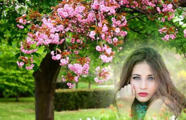 Sakura Photo Frames скриншот 2