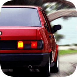 ikon Modifiyeli Şahin Park Etme