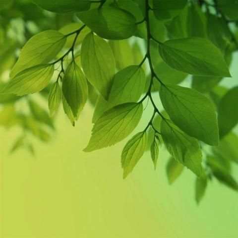 Galxy Note 3,5,7 & 8 wallpaper скриншот 4