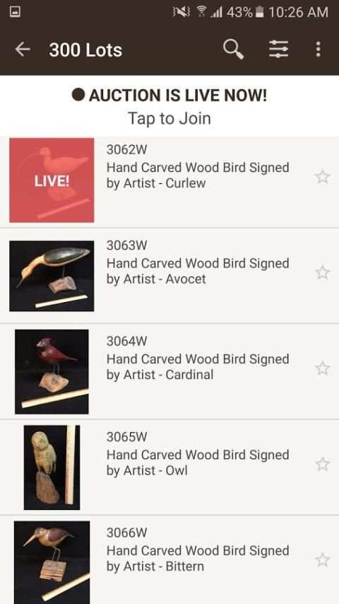 DeYoung Auctions 2 تصوير الشاشة
