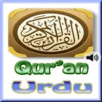 Quran Urdu - قرآن اردو