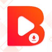 Buddy Video Downloader - Video Downloader Buddy