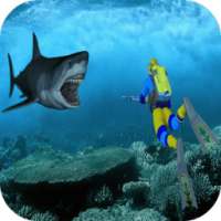 Fishing Shark Hunting