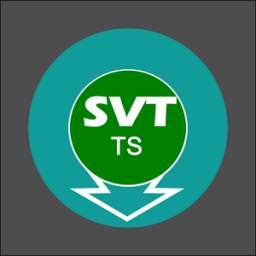 Revision Express - SVT 5.1