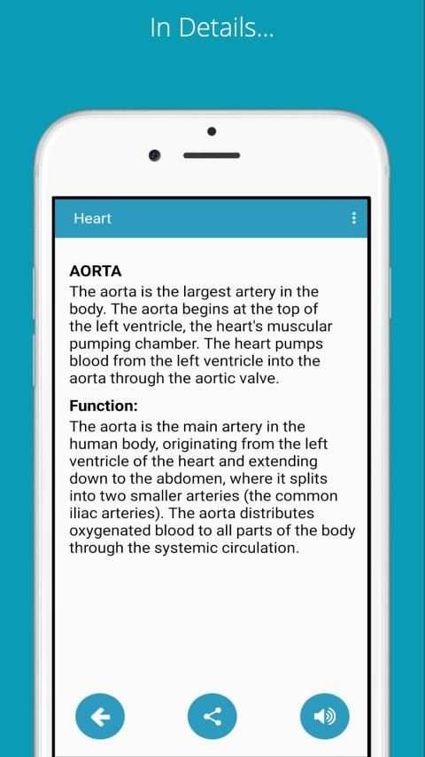 Learn Human Anatomy (Human Body) screenshot 1