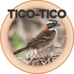 TICO - TICO icon