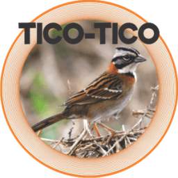 TICO-TICO 1.0.0