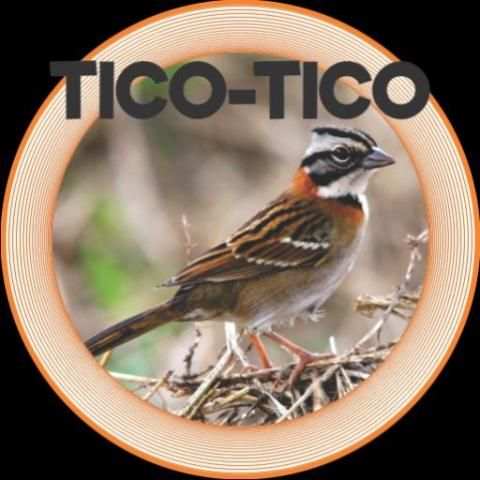 TICO - TICO screenshot 1