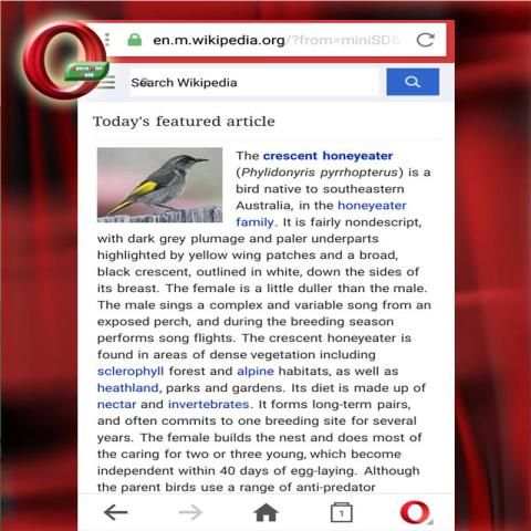 Guide Opera Mini Browser 2017 скриншот 4