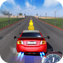 Real Car Speed Racing icon