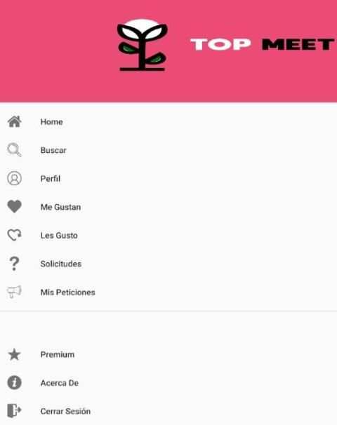 TopMeet screenshot 2